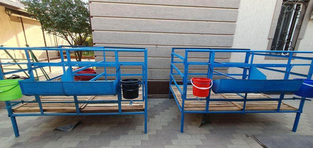 СРОЧНО! Куйхоналар кучкорлар учун