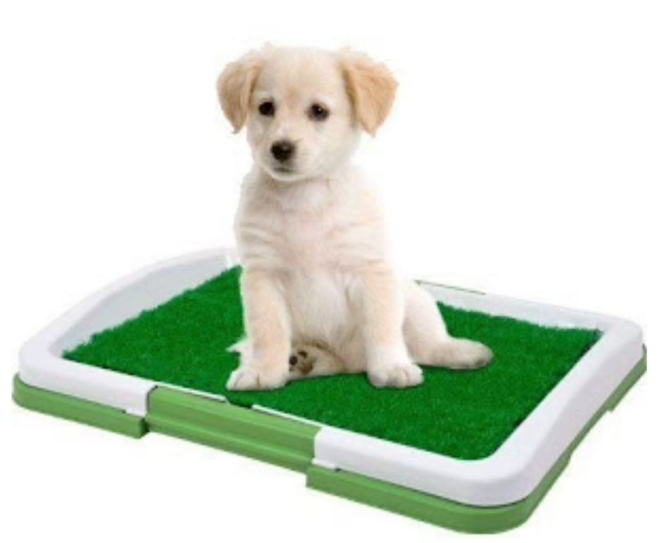 Litiera toaleta cu iarba artificiala pentru animale,catei Puppy Potty