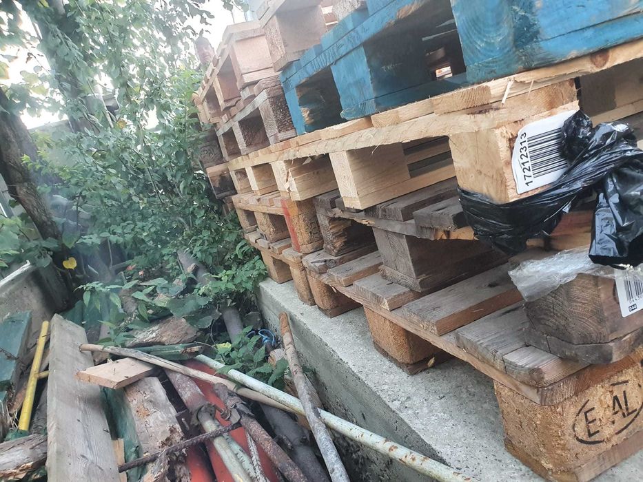 Vând paleți euro/non-euro