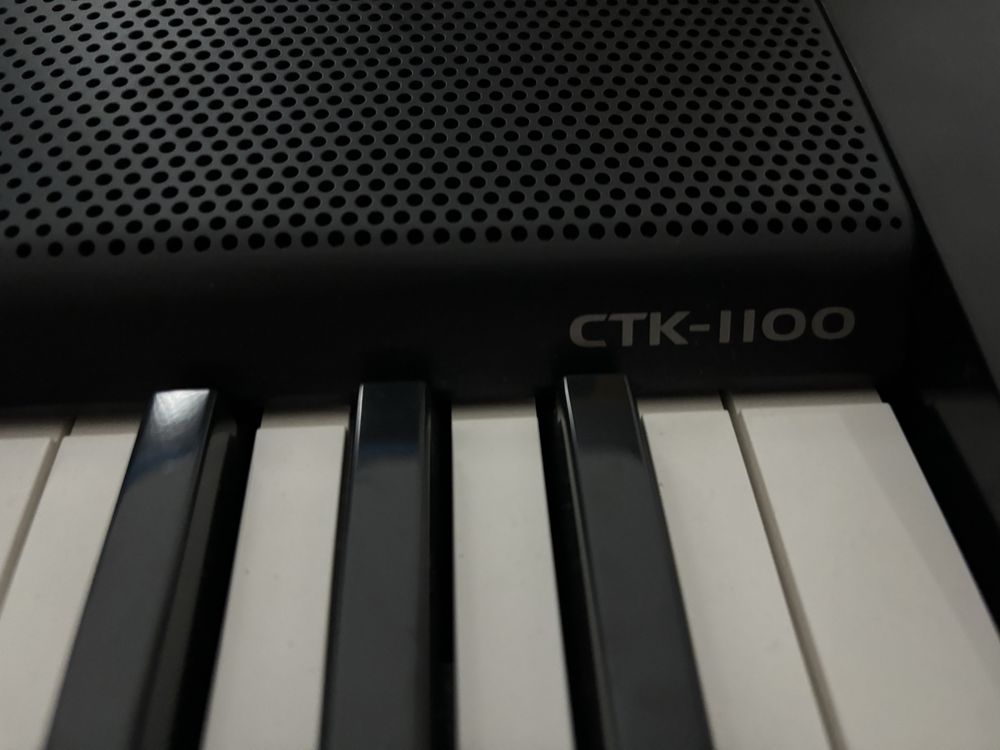 Orga Casio Electronic Keyboard CTK-1100