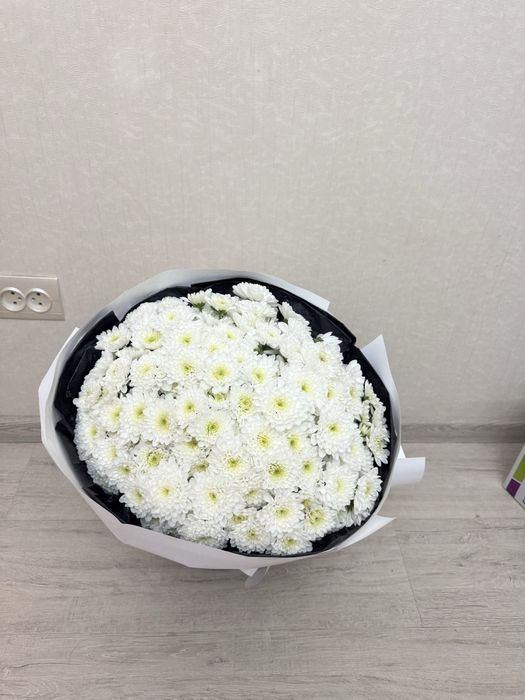 свежие цветы,пришли сегодня