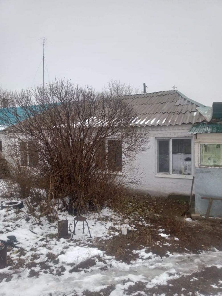 Дом, Барачного типа