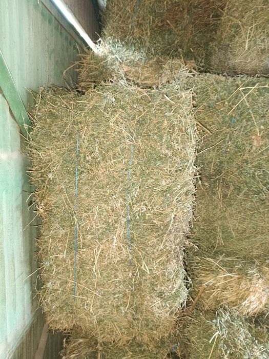 Продавам малки бали люцерна супер качество