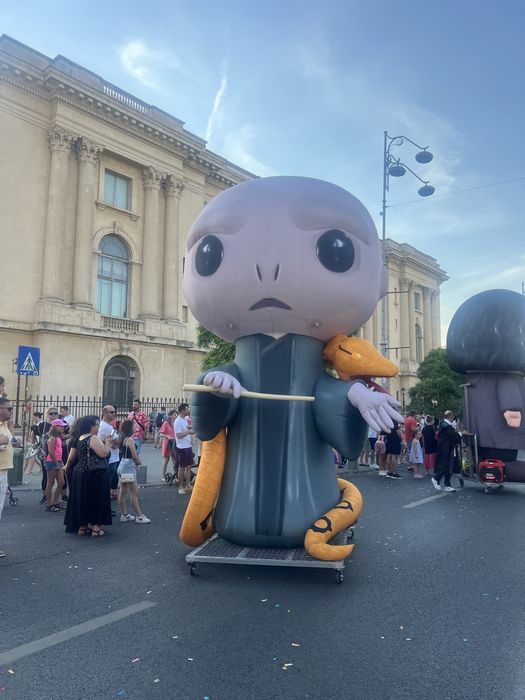 Alexandra  ionascu Pitic de Gradina