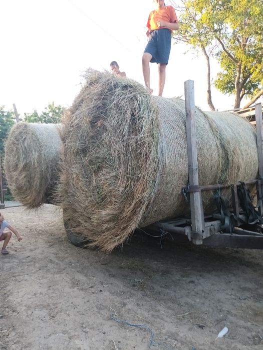 Baloti rotunzi de fan de foarte bună calitate