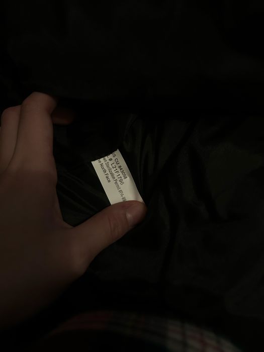 The north face puffer