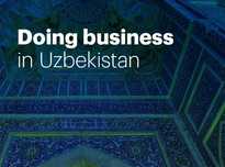 Business developer, Visa support, General and core services