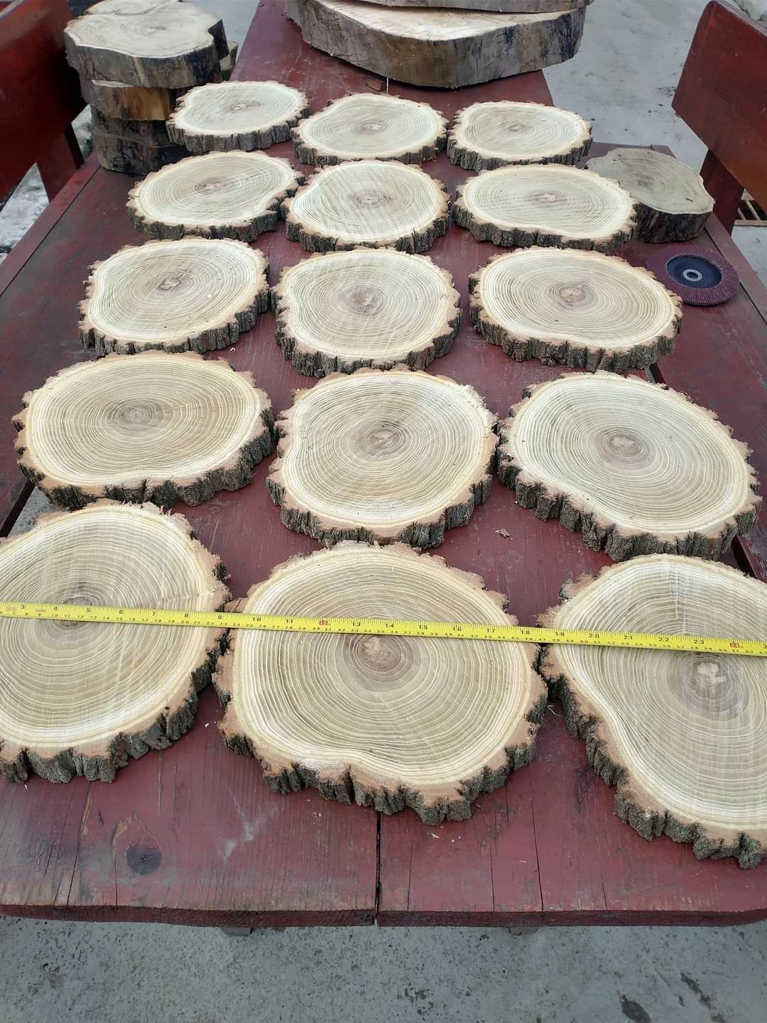 Rondele / felii de lemn salcam