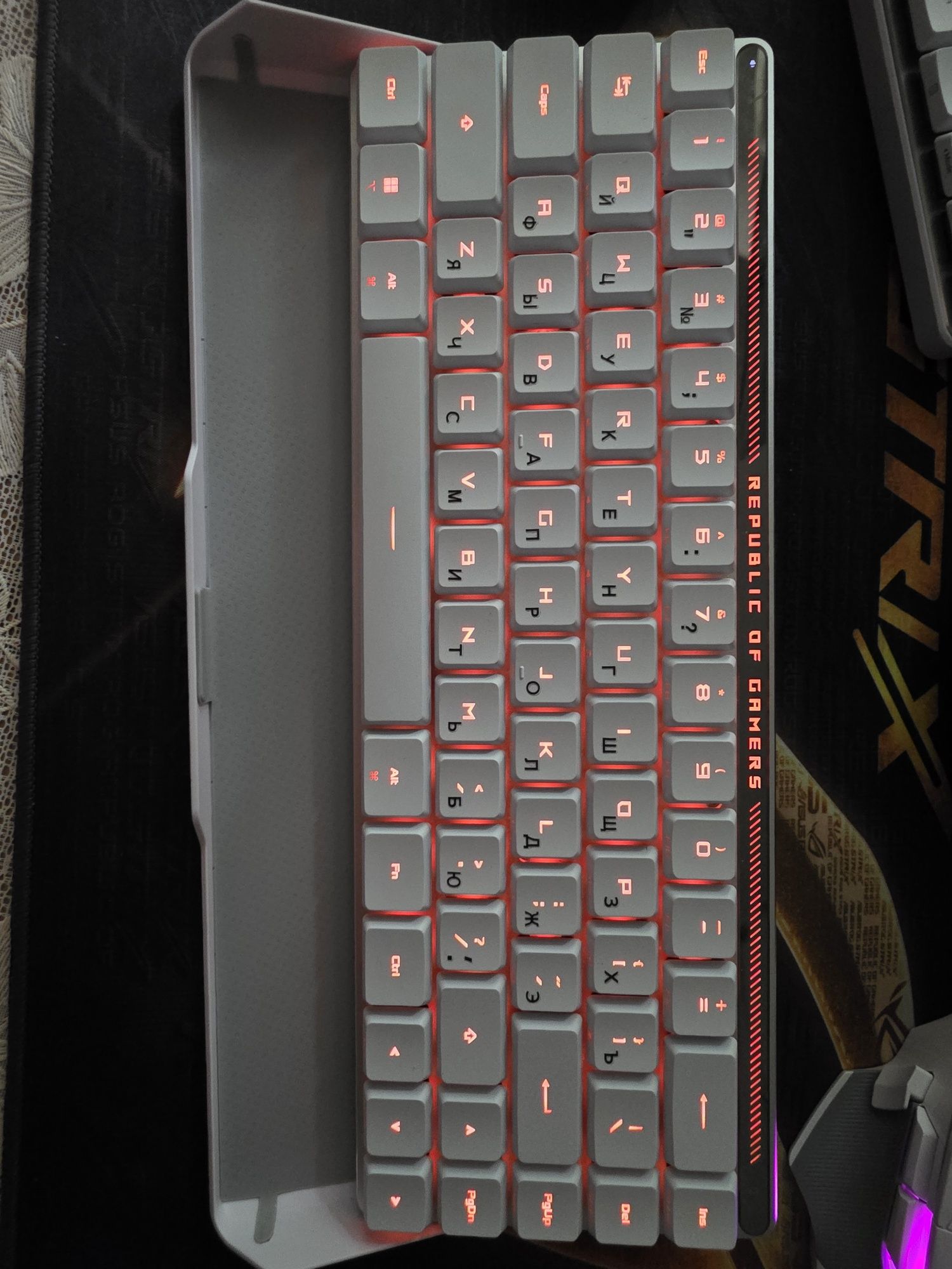 Клавиатура игровая ASUS ROG Falchion RX Low Profil