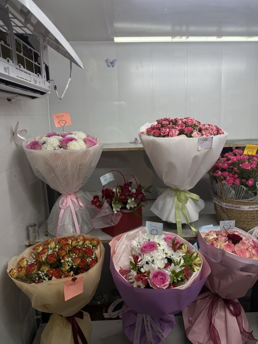 Гул сатам арзанга