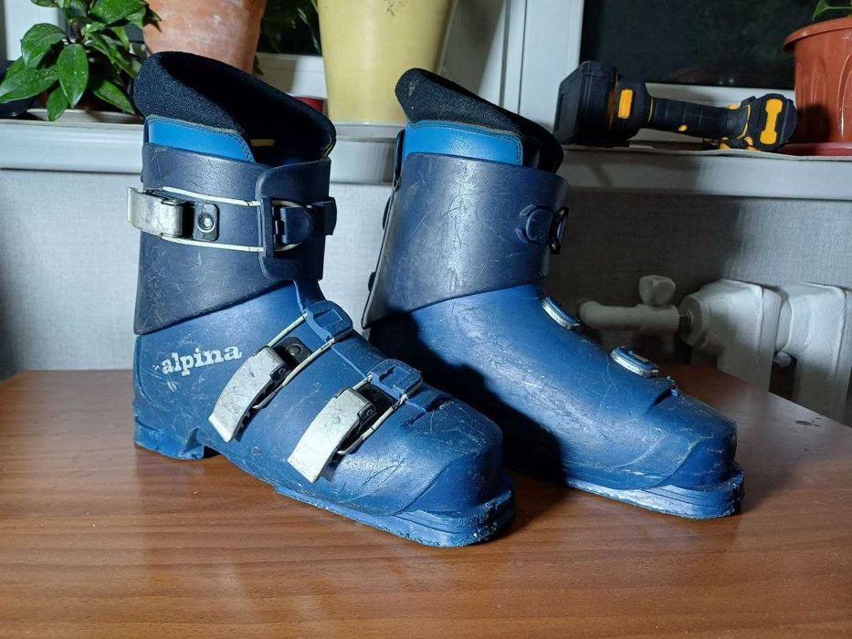 Горнолыжные ботинки