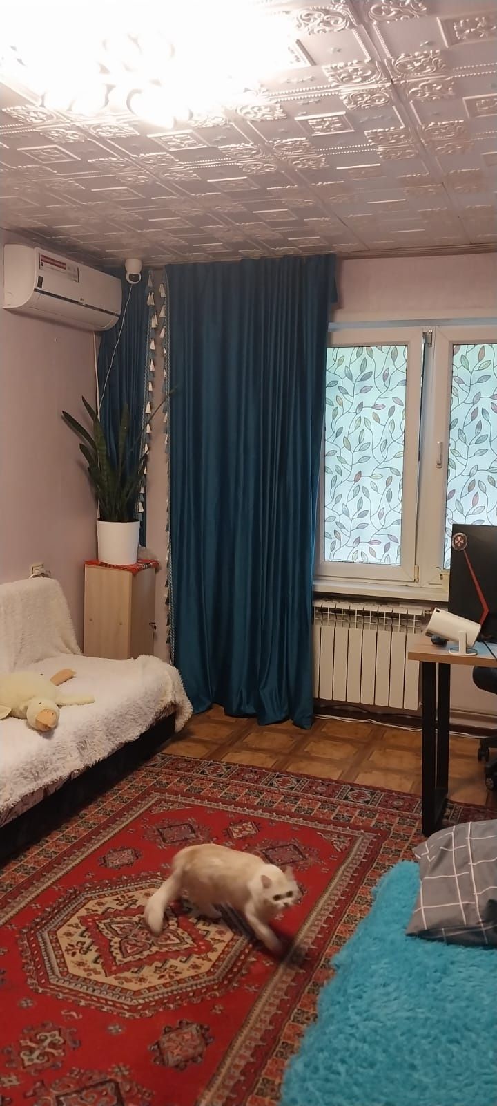 Квартира  1 комнатная