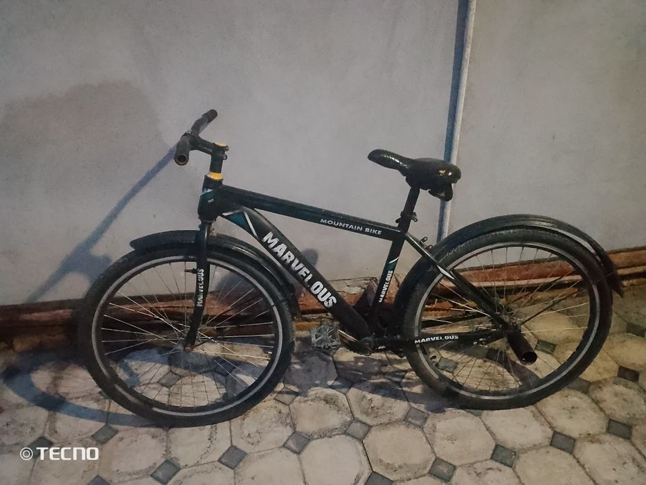 Yechqayr buzilmagan gonchik