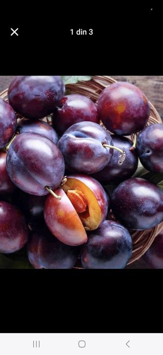 Prune super calitate pentru băuturi spirtoase tradiționale !