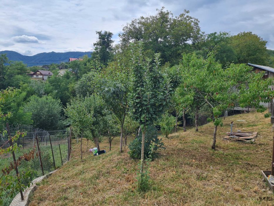 Vând teren intravilan