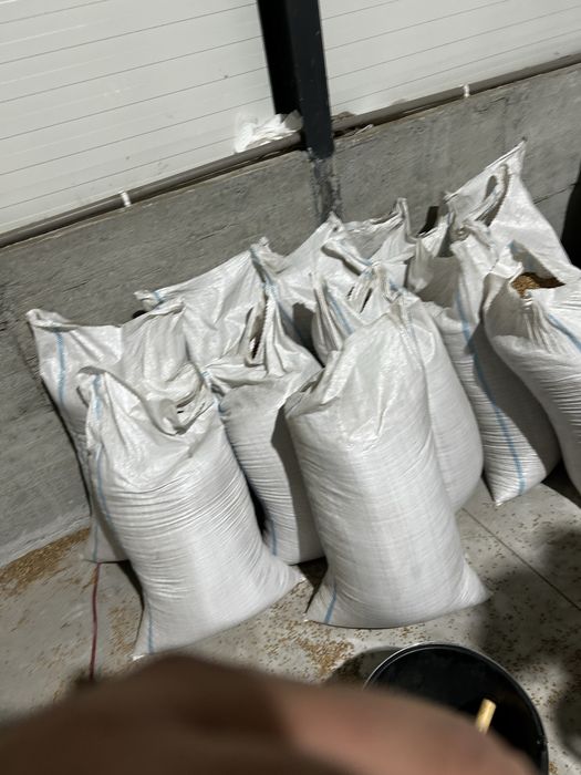 Grau in saci de 50 kg
