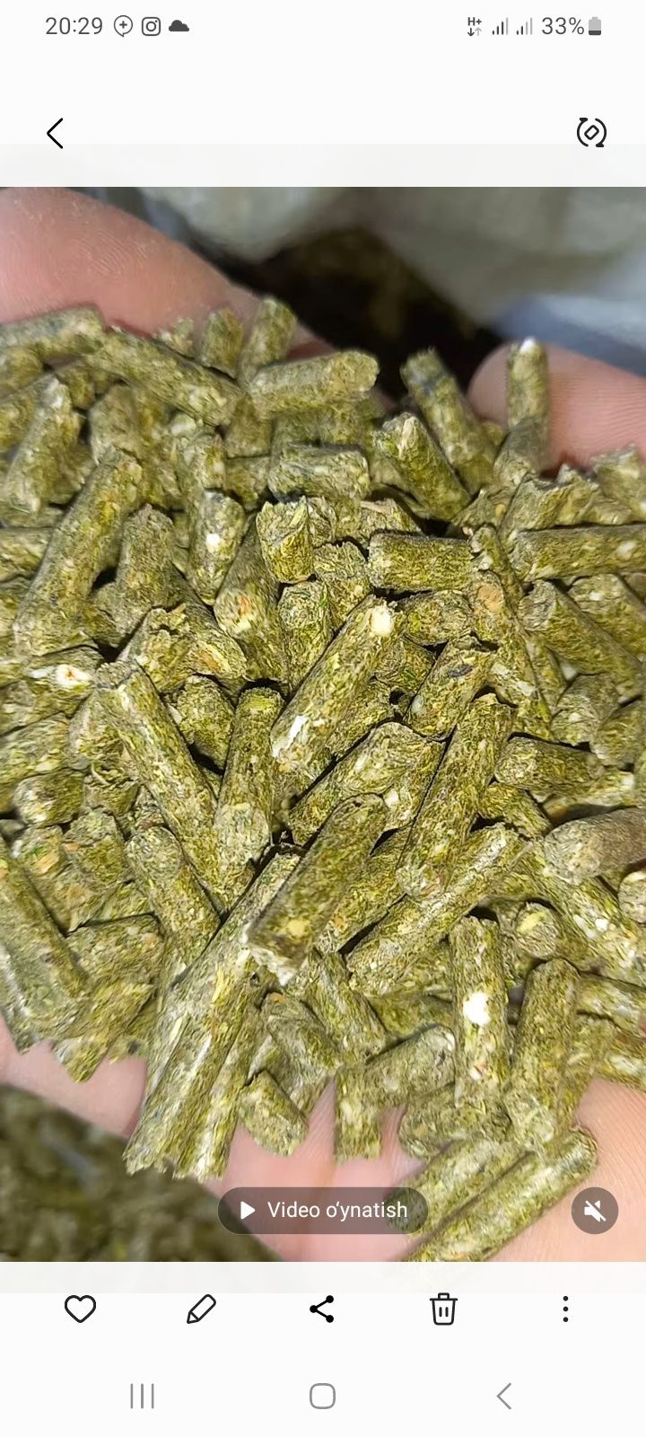 Quyon uchun mahsus korm tavsiya qilaman