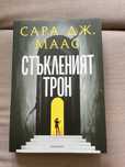 Стъкленият трон, Слънчеви лъчи в мрака, Брулени хълмове, дневник