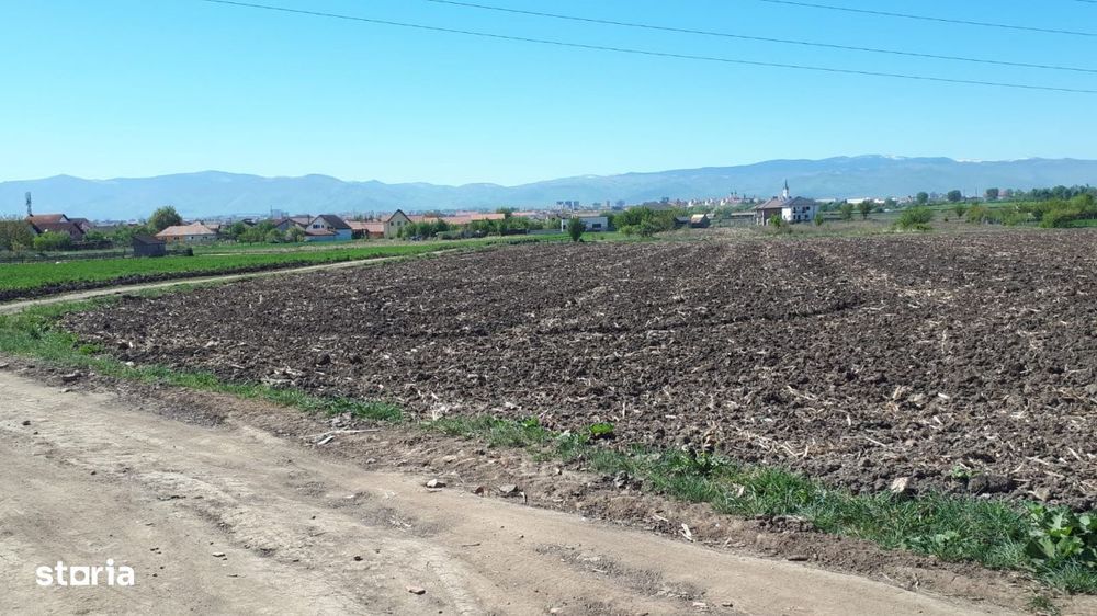 Teren de vanzare | 23.300mp | Gusterita - Oportunitate de investitie