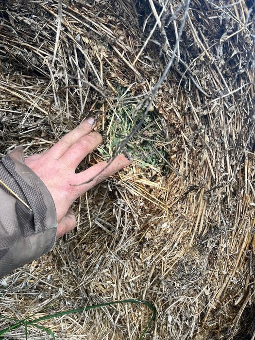 Vand baloti de lucerna