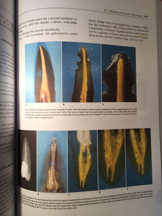 Endodontics CASTELLUCCI Vol.2 Editia 2009