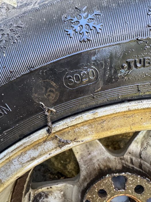 Джанти борбет 15