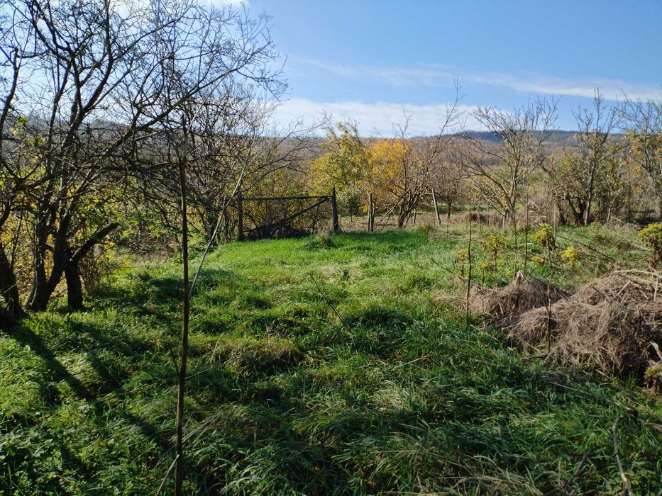 Имот с къща в С. Ягнило, Варна 30 000 Евро