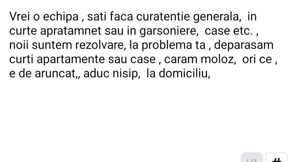 Facem curatenie in curte sau apartmente,