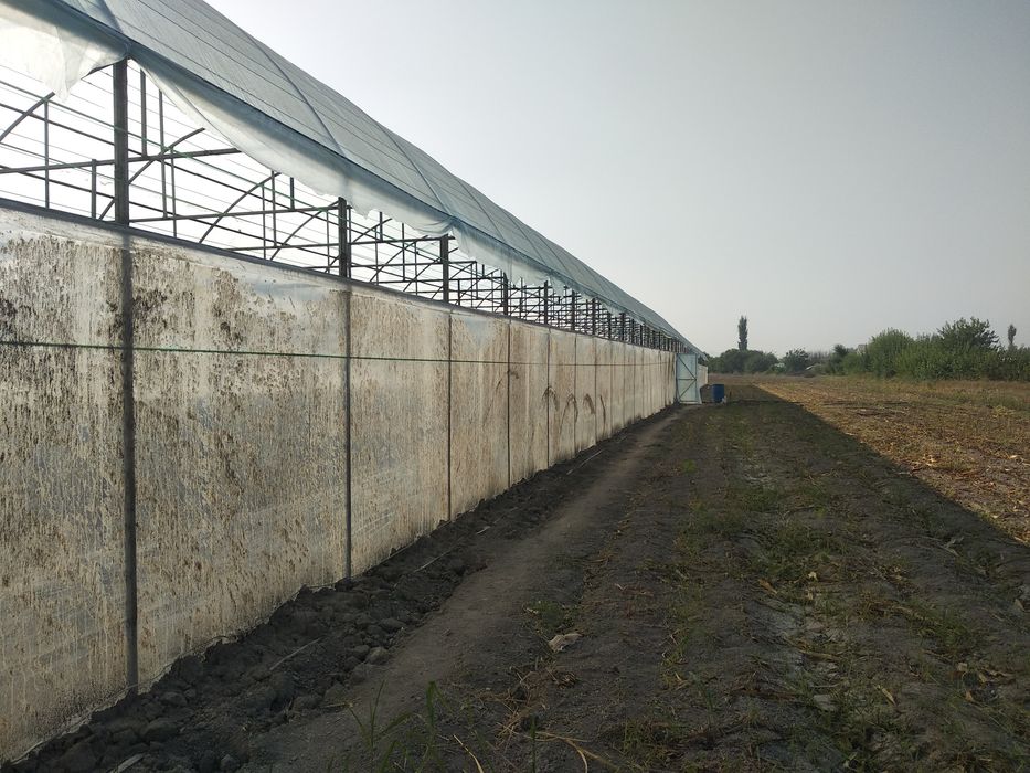 Issiqxona  qurish xizmati  ushtasidan. Biz ishga. Javob. Siz. Pulga