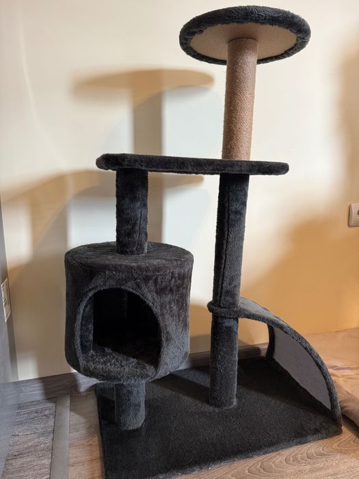 Котешка катерушка