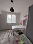 De inchiriat apartament 2 camere, parter, Dealul Florilor - 1500 lei