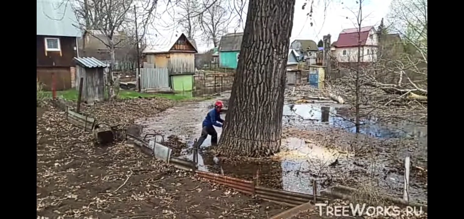 Пилим валим деревья очищяем поля и Т. Д