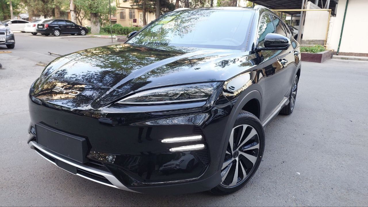 BYD song champion honor