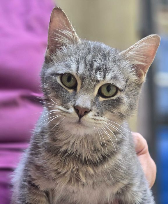 Малыш ищет семью!