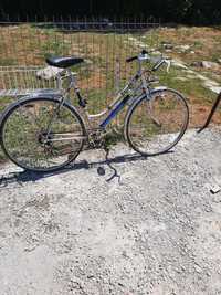 Bicicleta Goricke