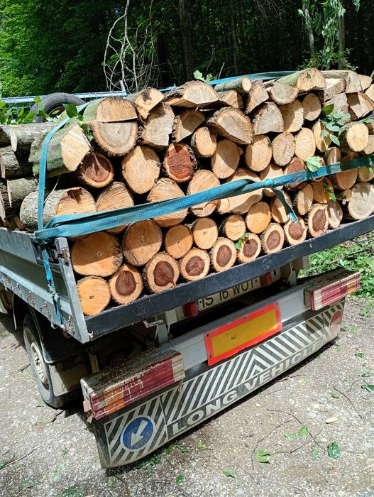 Lemn de foc carpăn grăsan stejar