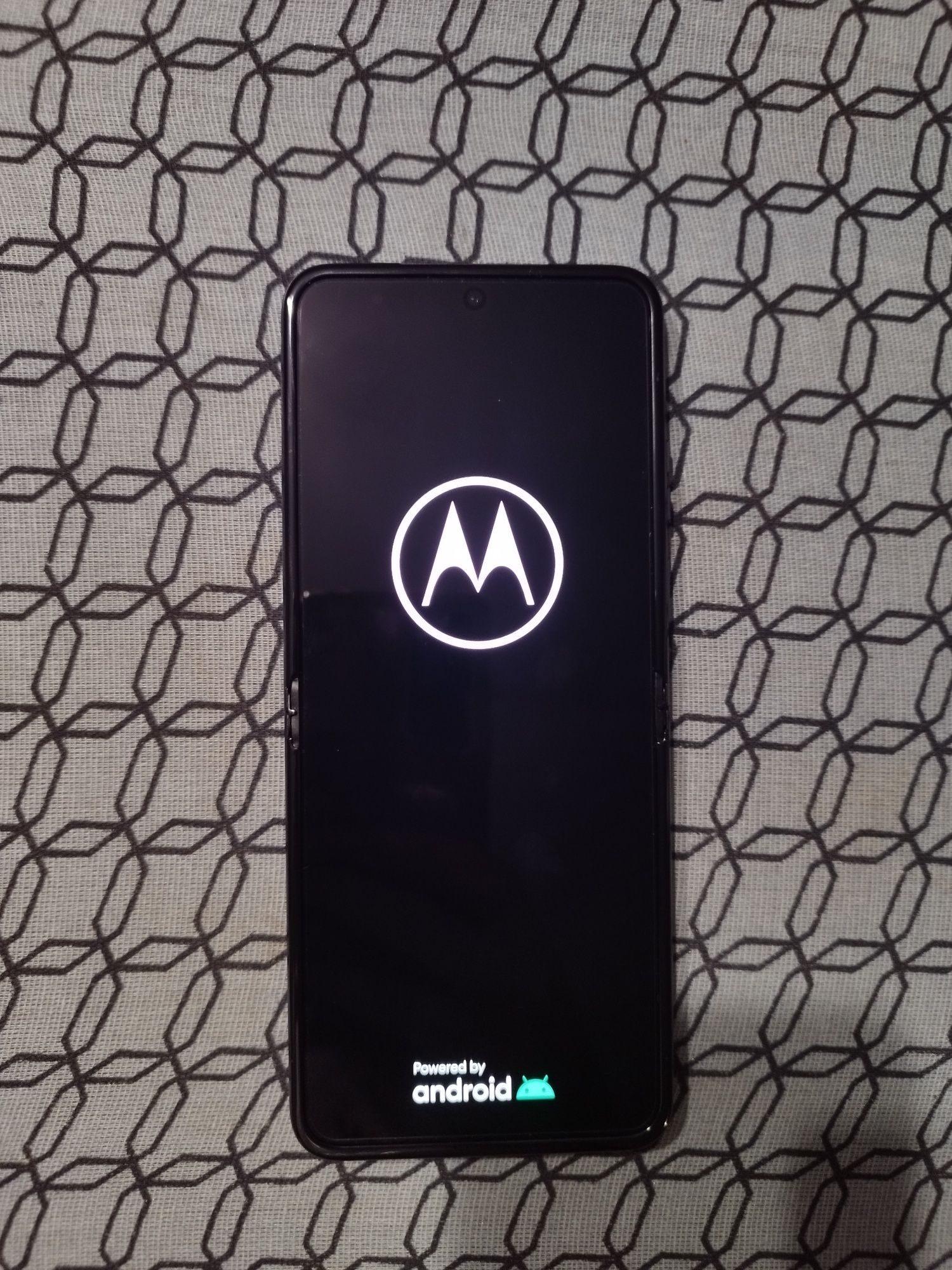 Motorola razr 40