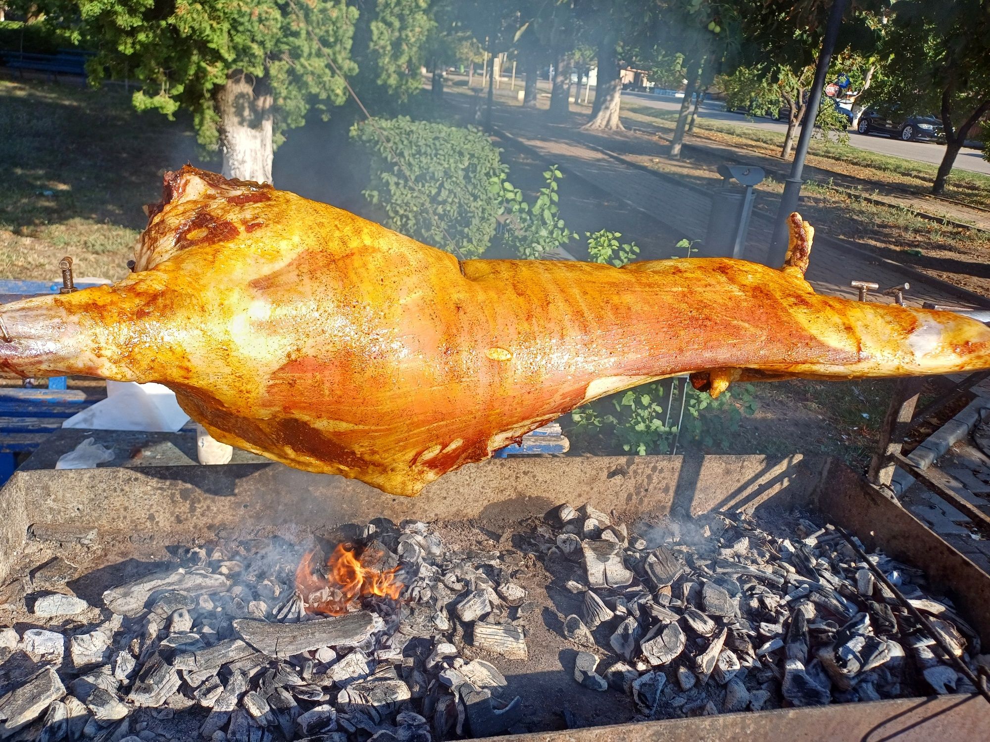 Pregătesc proțap pentru diferite evenimente!