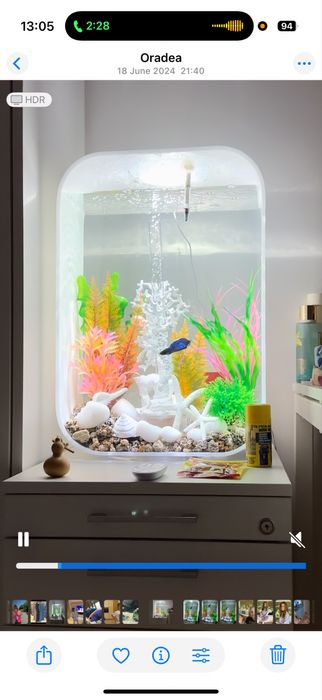 Acvariu 15 L de la Biorb cu lumini led colorate