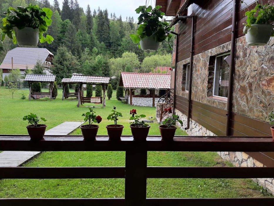 Cabana de inchiriat Arieseni