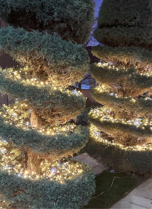 Montaj decoratiuni de craciun