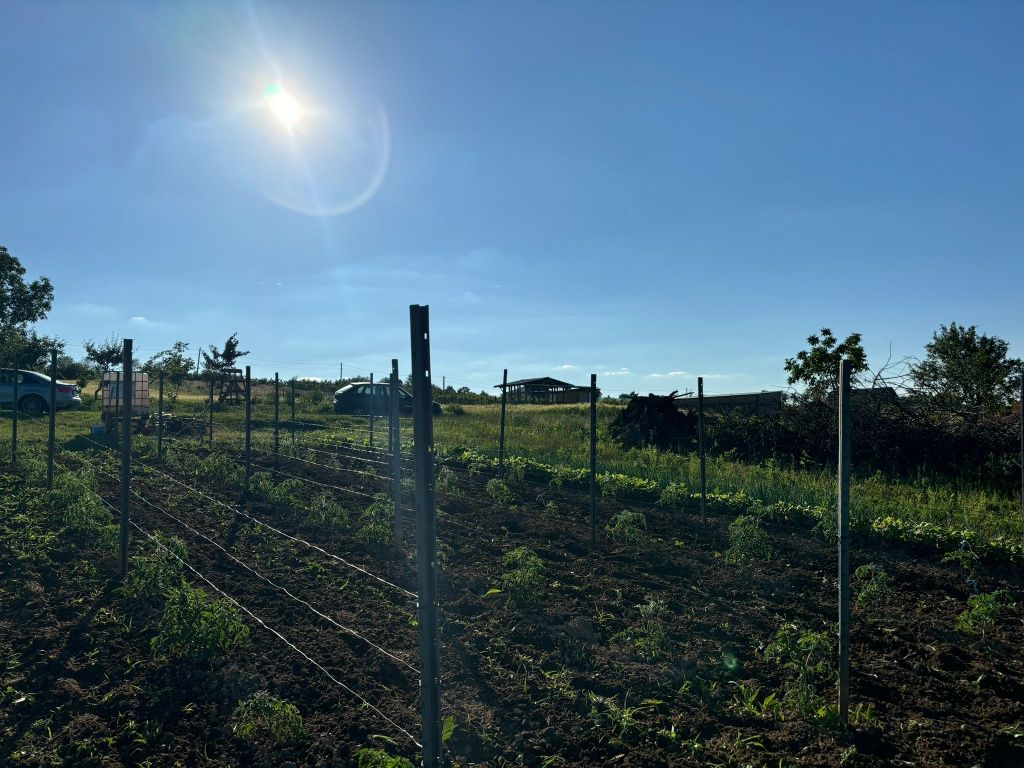 Stâlpi gard/spalier vie ,mure etc
