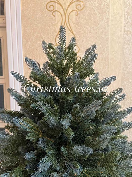 Новогодняя ёлка - Царская одна из самых нарядных и густых ёлок