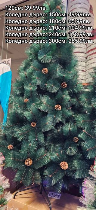 Коледни елхи на ниски цени