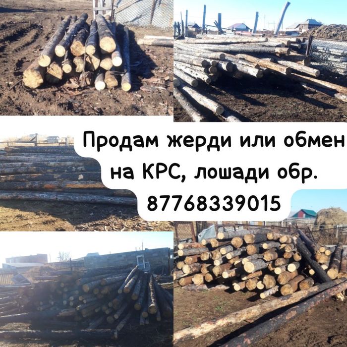 Продам жерди или обмен на крс, лошади .Находятся песелок Аксу (ГРЭС)