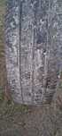 Anvelope vara 215/75 r16C