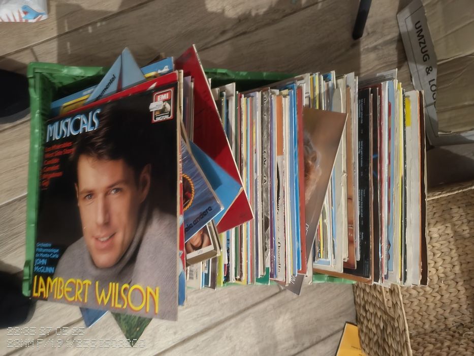 Colectie/lot 460 Viniluri