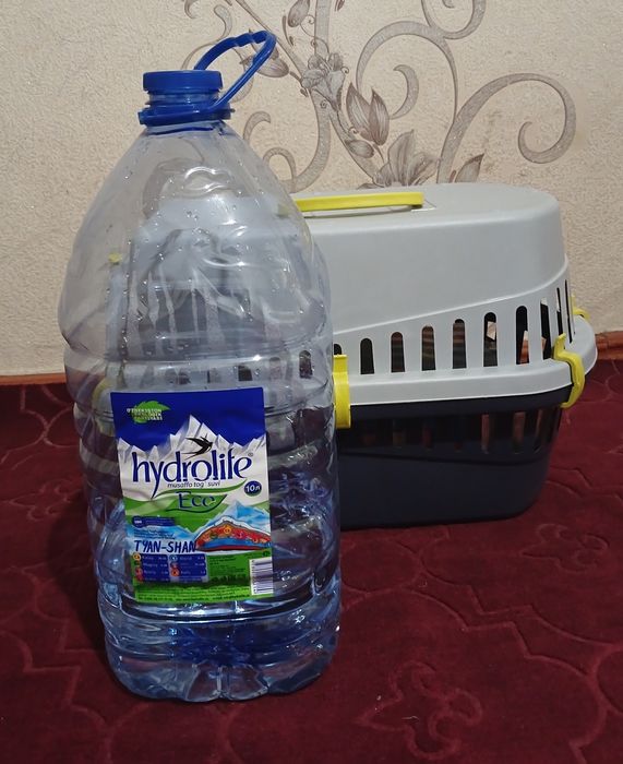 Переноска для кошек