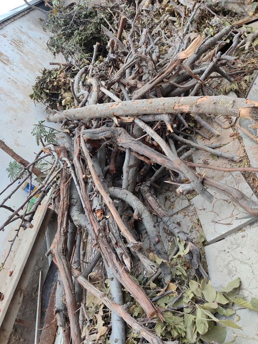 O'tin утин сотилади