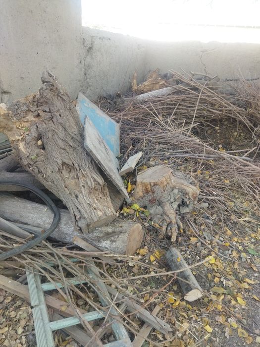 Apilka va o'tinlar sotiladi